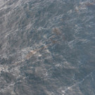 AFP_1EM3O2.jpg