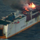 AFP_1EH9YC.jpg