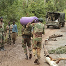 Zimbabwe_Mozambique_Cyclone_11431.jpg