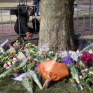 Netherlands_Shooting_97476.jpg