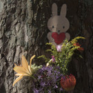 Netherlands_Shooting_94634.jpg