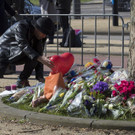 Netherlands_Shooting_92580.jpg