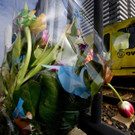 APTOPIX_Netherlands_Shooting_10766.jpg