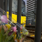 Netherlands_Shooting_32914.jpg