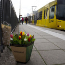 Netherlands_Shooting_83959.jpg