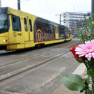 AFP_1ET1XF.jpg