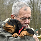 Neue Hunde beim Bundesheer