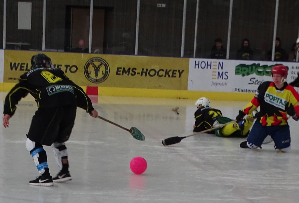 Eisbahn12a.jpg