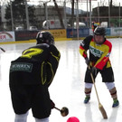 Eisbahn12e.jpg