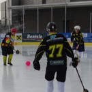 Eisbahn12z.jpg