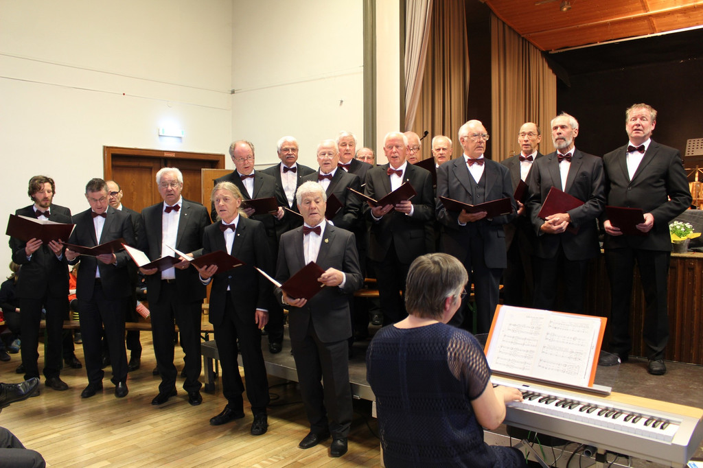 Lochau Gemeinschaftskonzert MUSISCHE VEREINE Konzert M__rz 2019 _3_.JPG