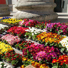 DSC00031.JPG