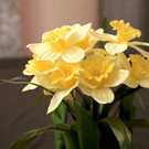 IMG_8884.JPG