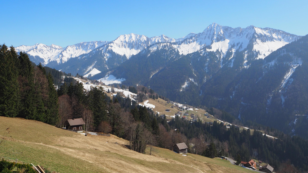 P3246357.JPG