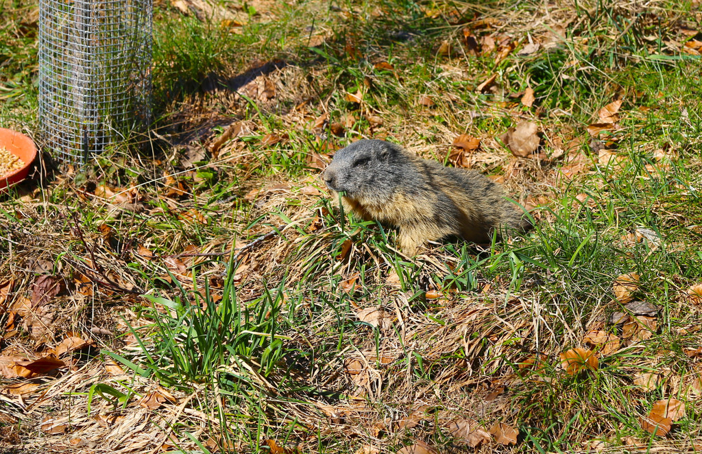 IMG_8576.JPG