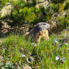 IMG_8580.JPG