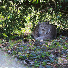 IMG_9470.JPG