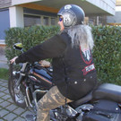 IMG_4566.JPG