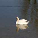 023-IMG_1679.JPG