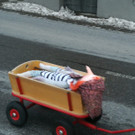 PHOTO-2019-03-24-19-02-00 _6_.jpg