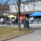 DSCI1077.JPG