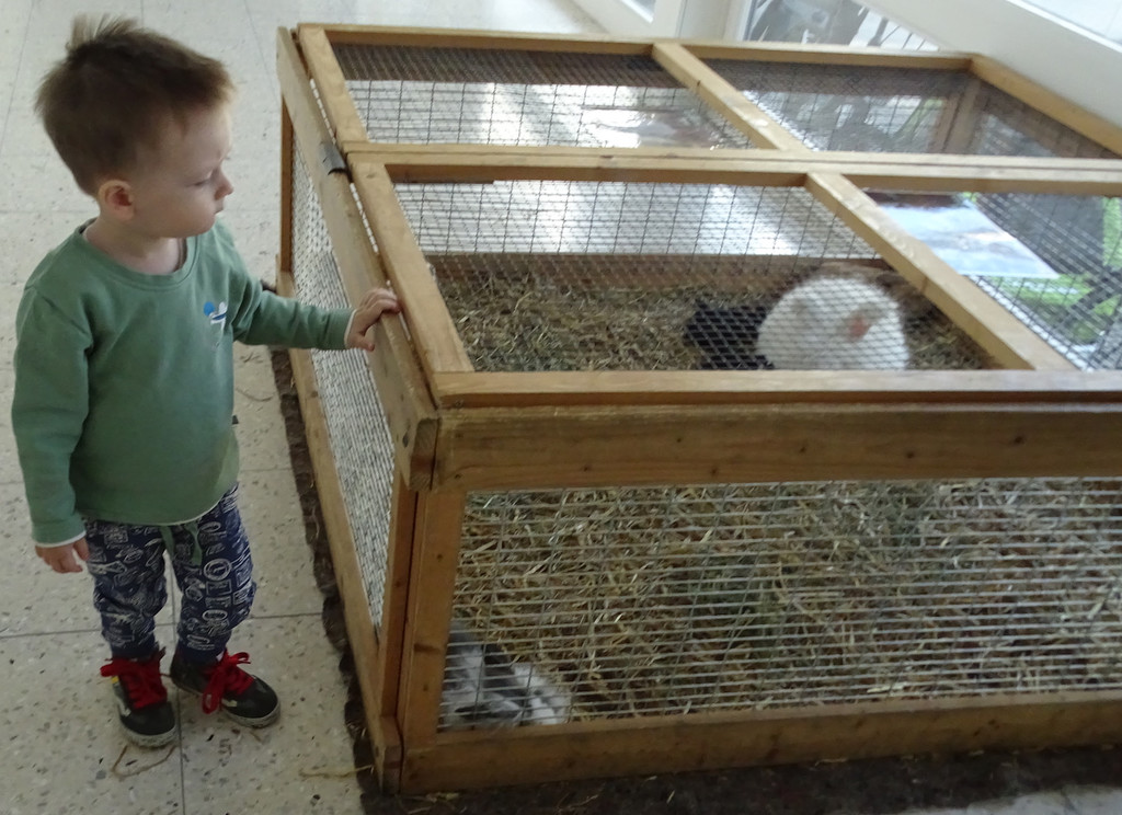 Spiele17b Zoo.jpg