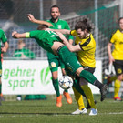 file74px8pgkady26nealby.jpg