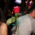 IMG_5619_jpg-1554063864.jpg