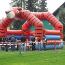 1551770.jpg