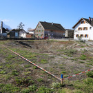 IMG_9381.JPG