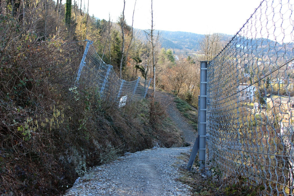 Klausm__hle STEINSCHLAGVERBAUUNG B Stahlnetzwerke 27-02-2019 _19_.JPG