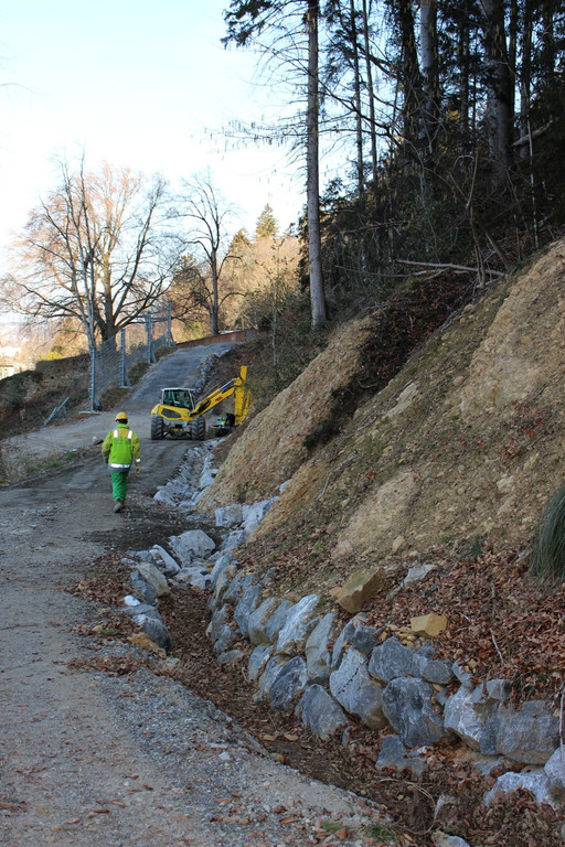 Klausm__hle STEINSCHLAGVERBAUUNG C Gerinne 27-02-2019 _2_.JPG