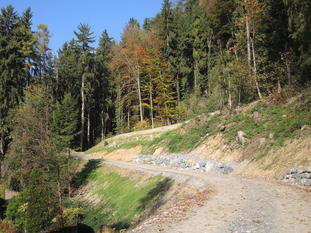 Klausm__hle Z Fotos 2017 Begr__nung Geotextildamm 19-10-2017 _1_.JPG
