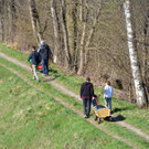 Landschaftsreinigung Altach