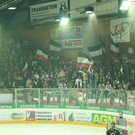 1554658.jpg