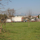 IMG_7682.JPG