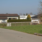 IMG_7687.JPG