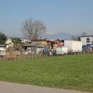 IMG_7690.JPG