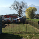 IMG_9909.JPG