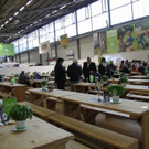 IMG_4824.JPG