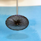 Amplatzer_Implantat_PFP Verschluss _1_.JPG