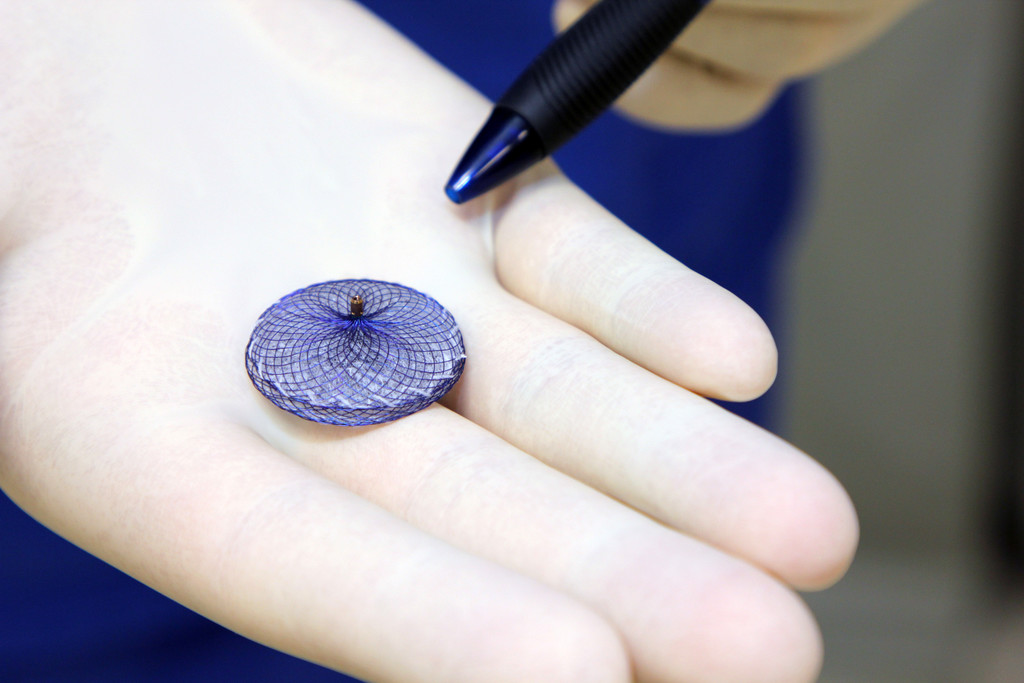 Amplatzer_Implantat_PFP Verschluss _2_.JPG