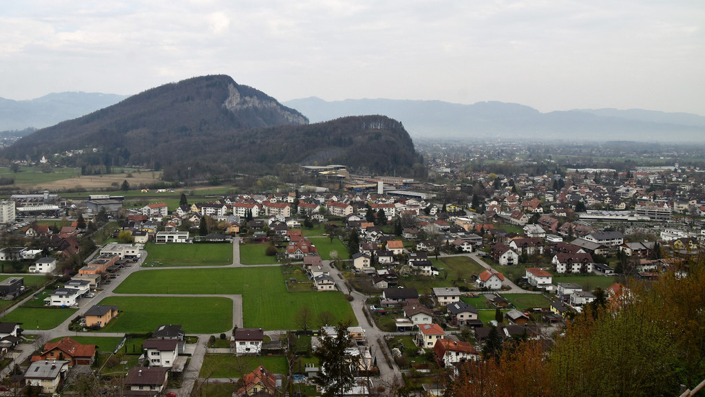DSC_0503.JPG