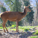 IMG_9737.JPG