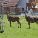 IMG_9786.JPG
