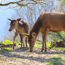 IMG_9839.JPG