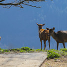 IMG_9855.JPG