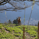 IMG_9857.JPG