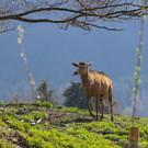 IMG_9858.JPG