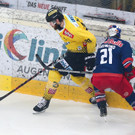 Vienna Capitals EBEL-Halbfinale
